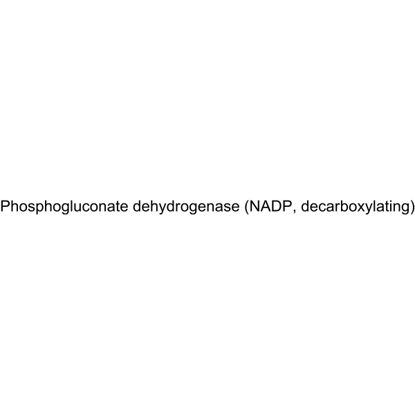 Phosphogluconate dehydrogenase (NADP, decarboxylating) (6-Phosphogluconate dehydrogenase) 9073-95-4